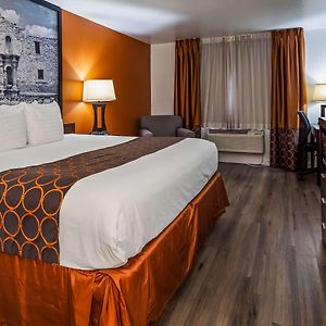 King Room Disability Access